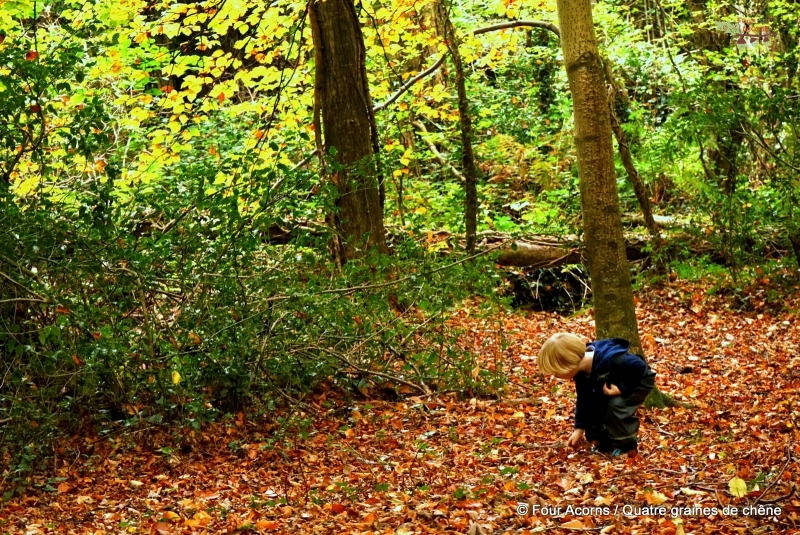 autumn-scavenger-hunt-boy-leaves-trees