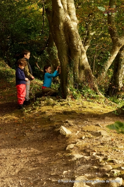 children-tree-forest-play-autumn