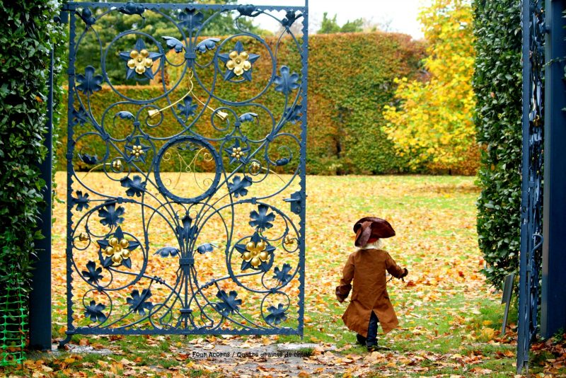 pirate-Killruddery-garden-gate-autumn-leaves