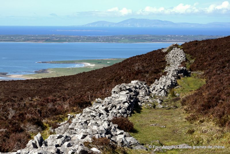 In the far distance, the cliffs of Slieve League, Co Donegal Au loin, les falaises de Slieve League, Co Donegal