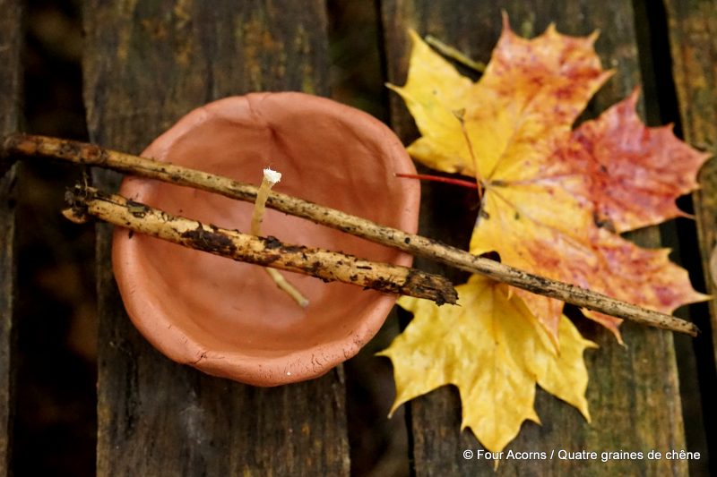 nature-crafts-autumn-clay-tealight-beeswax