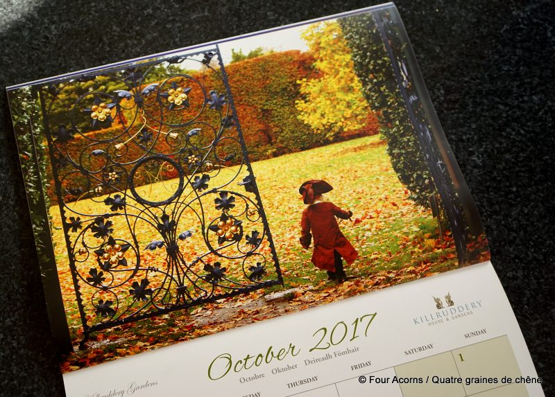 Wicklow Calendar, 2017, Little Prince, Wicklow, Ireland