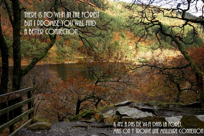 Glendalough, St Kevin, Ireland, Upper Lake, Four Acorns, Quatre graines de chêne, Irlande