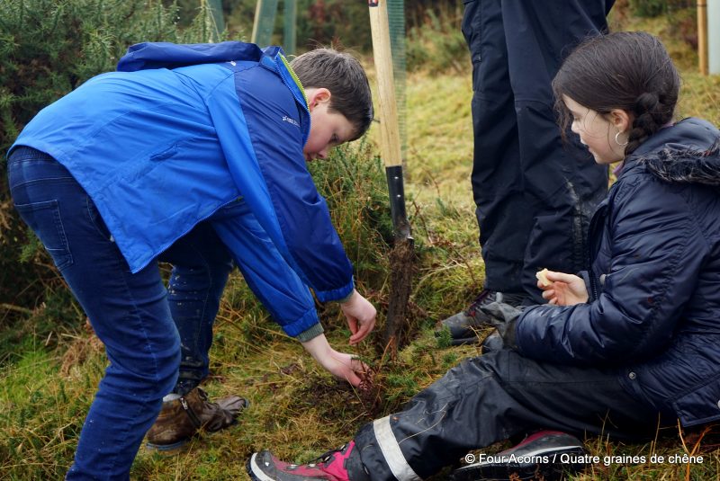 Native Woodland Trust, tree planting event, Ireland, Wicklow, Laragh, oak, tree