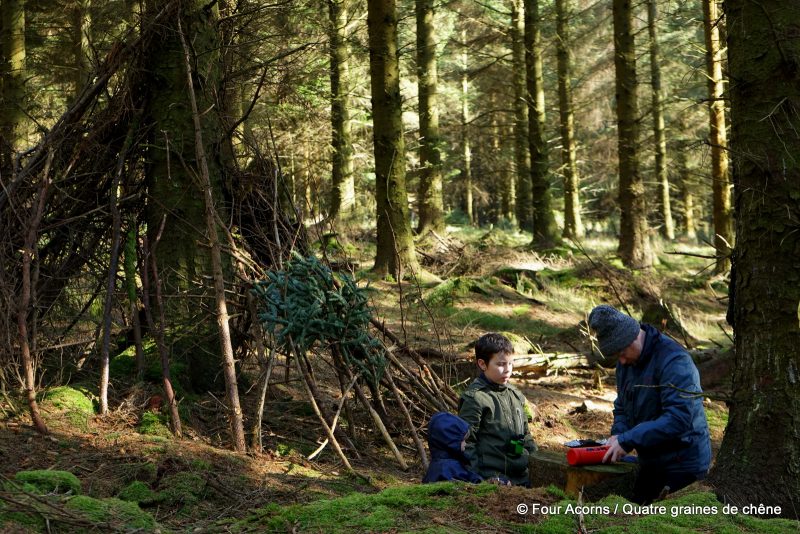 Djouce, Wicklow, hiking, forest, woodland, camping, stove