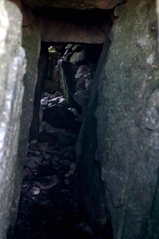 Seefin, passage tomb, Wicklow, Ireland, Irlande, neolithic, heritage, patrimoine, history, histoire, néolithique, monument