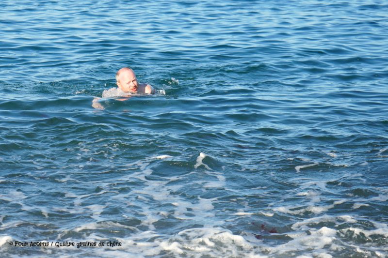 wild swimming Ireland Wicklow Irish Sea nage en eau libre outdoors Irlande adventure family famille aventure