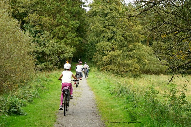 family-cycling-bikes-greenway-forest-Wicklow
