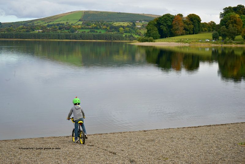 boy-cycling-beach-Blessington-lake-Wicklow