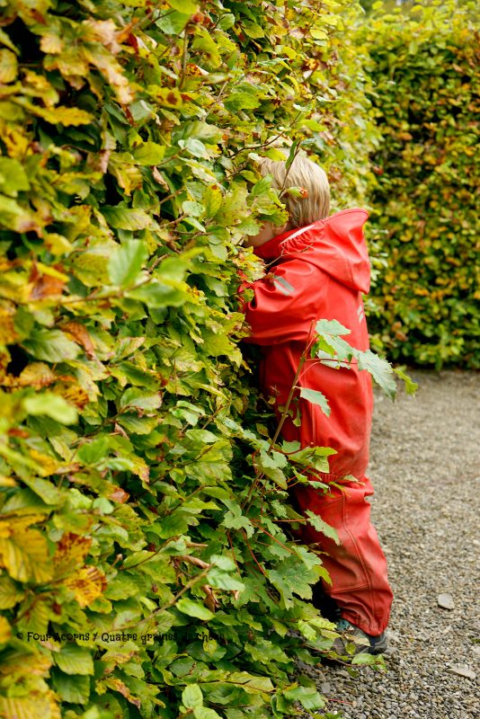 maze-hedge-child-hiding