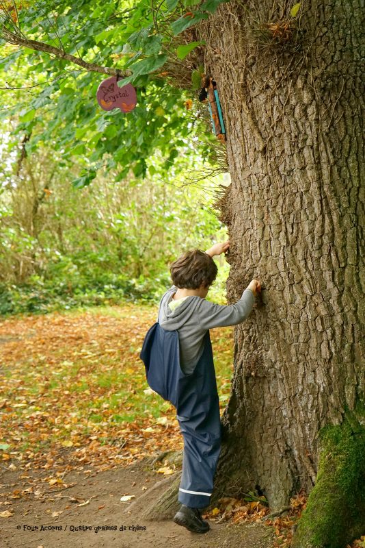fairy-trail-boy-climbing-tree-fairy-door