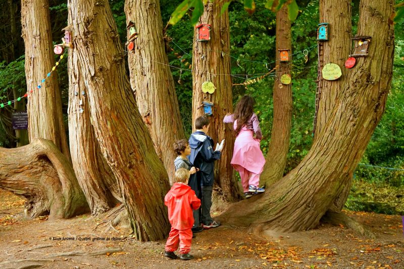fairy-trail-four-children-autumn-colours