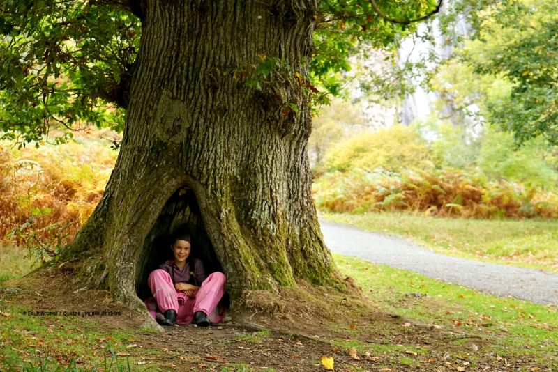 girl-sitting-tree-nook-oak