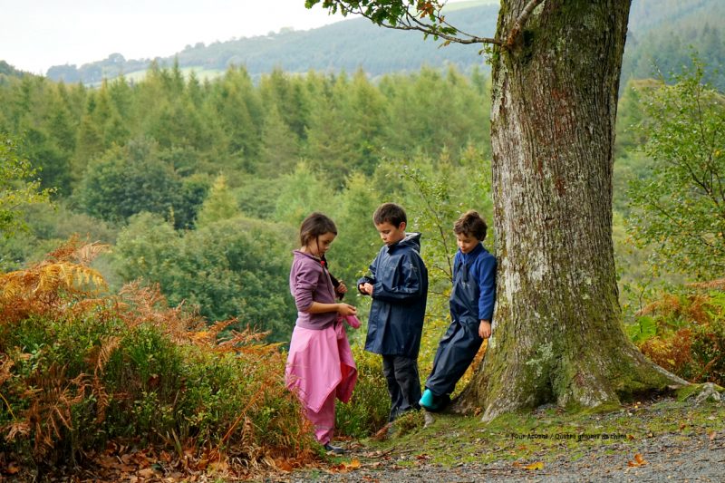 three-children-tree-raingear-view