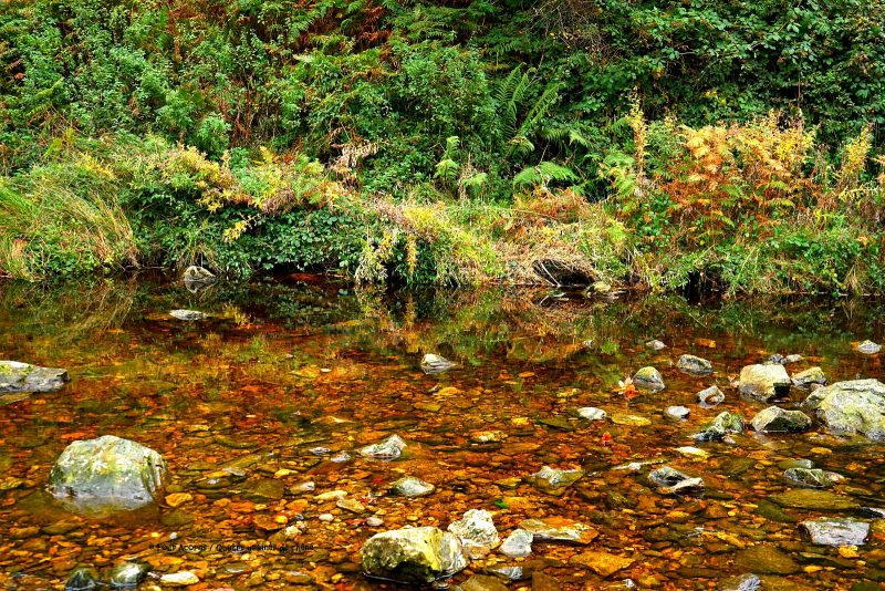 river-water-rocks-Wicklow-reflection