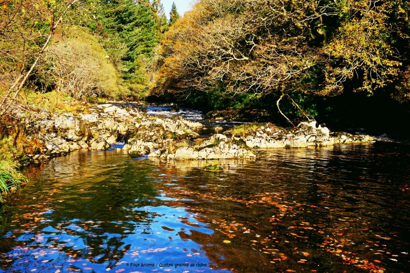 avonmore-river-blue-reflection-autumn-leaves-rocks