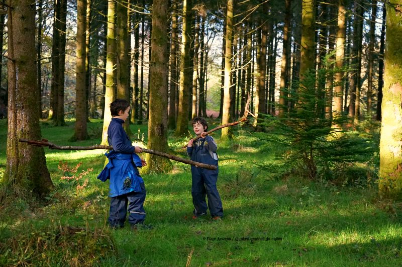boys-forest-grass-playing-sticks-sunshine