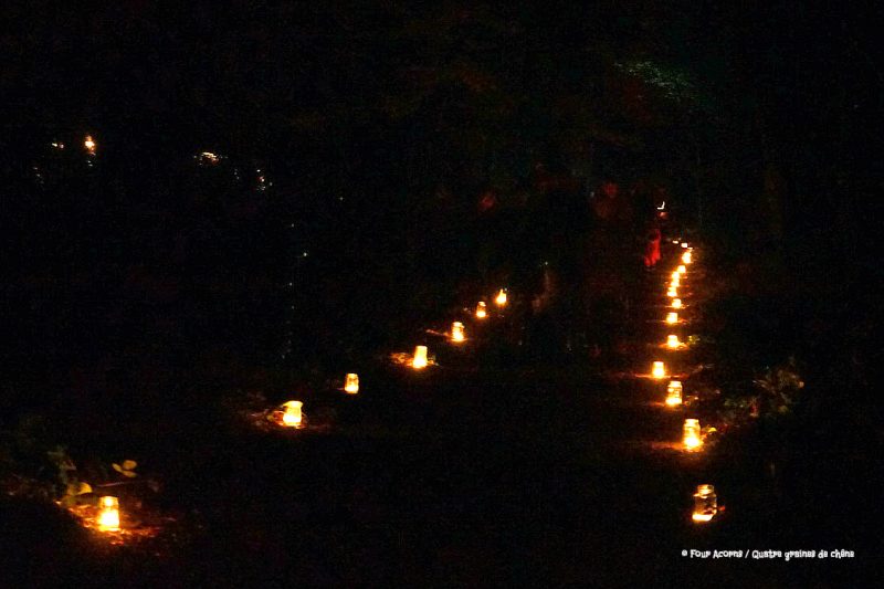 trail-lit-candles-tealights-night-dark