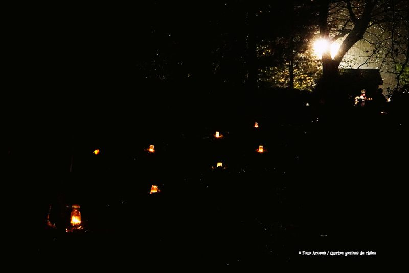 bright-light-trees-night-dark-candles-lining-path