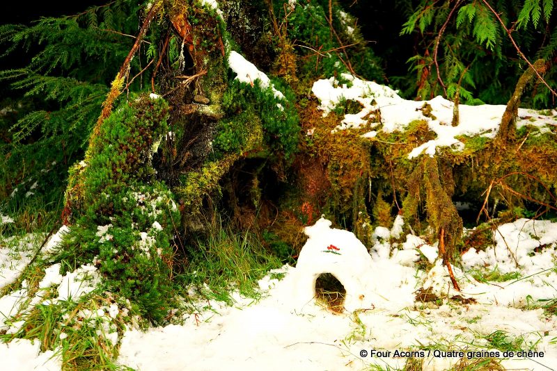 snow-fairy-house-tree-stump