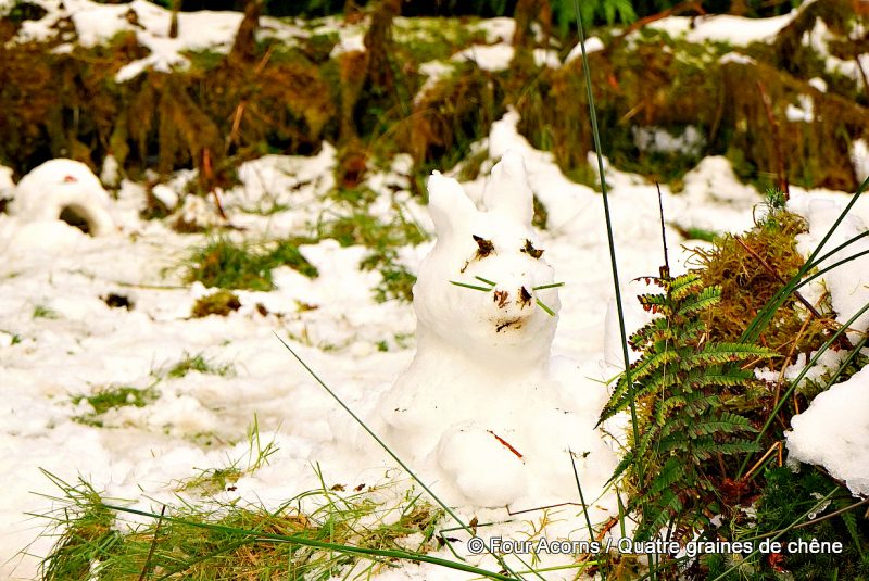 snow-rabbit-sculpture-ferns