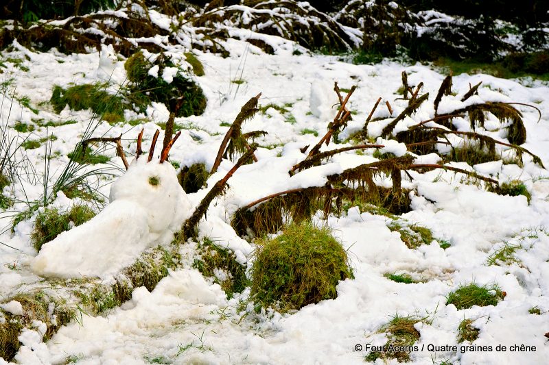 snow-dragon-sculpture-snowy-ground