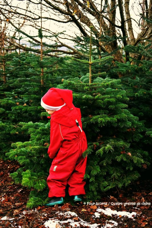 elf-child-pulls-up-small-christmas-tree