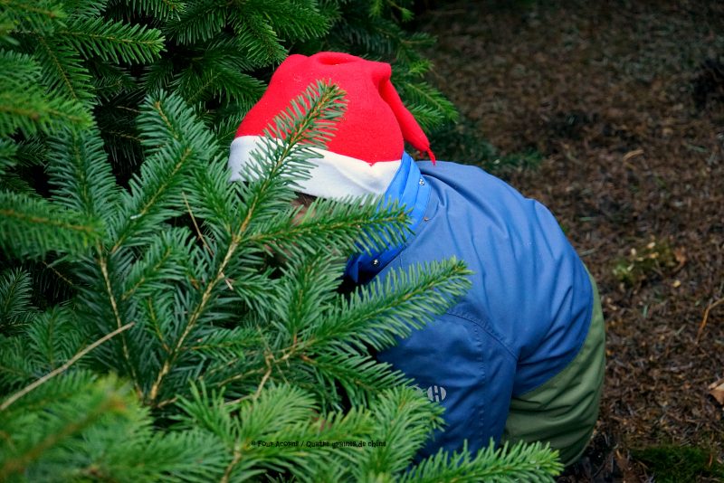 child-blue-coat-santa-hat-hides-under-christmas-tree