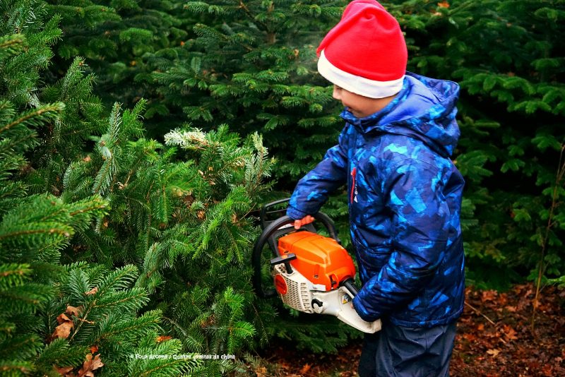 boy-blue-coat-santa-hat-lifts-chainsaw-christmas-tree
