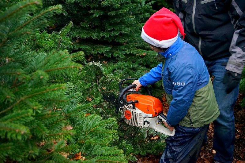 boy-blue-green-coat-santa-hat-lifts-chainsaw-christmas-tree