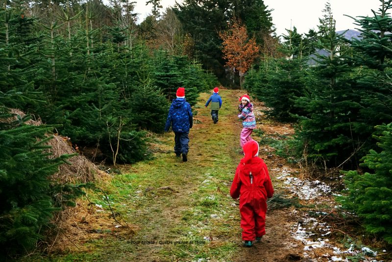 four-children-santa-hats-run-down-lane-christmas-tree-farm
