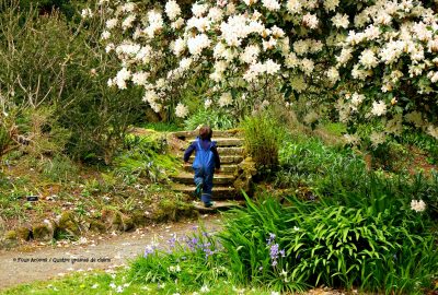 Kilmacurragh-botanic-gardens-white-flowers-child