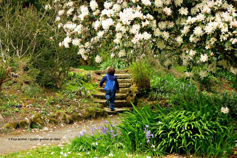 Kilmacurragh-botanic-gardens-white-flowers-child