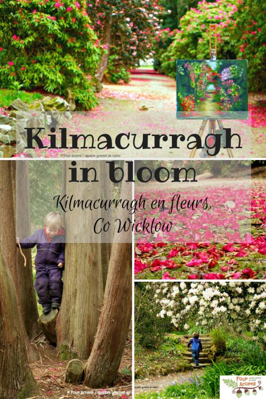 kilmacurragh-botanic-gardens-wicklow-ireland