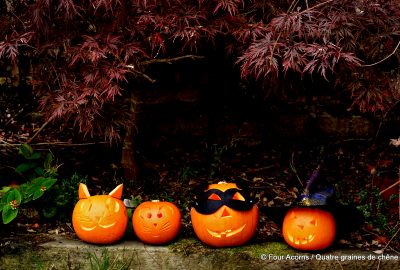 four-pumpkins-carving-leaves-Halloween