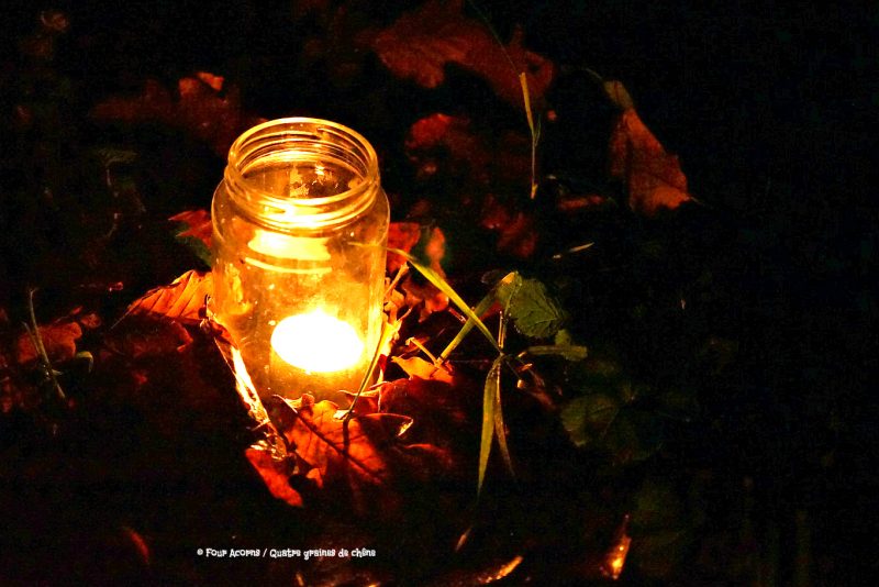 tealight-jar-autumn-leaves-grass-blades-dark