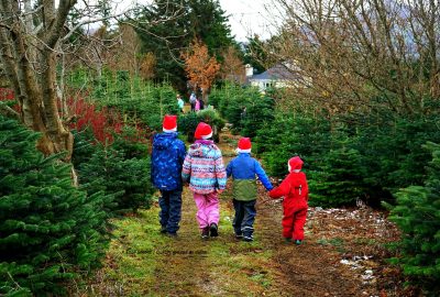 four-children-santa-hats-christmas-tree-farm-walk-down-lane