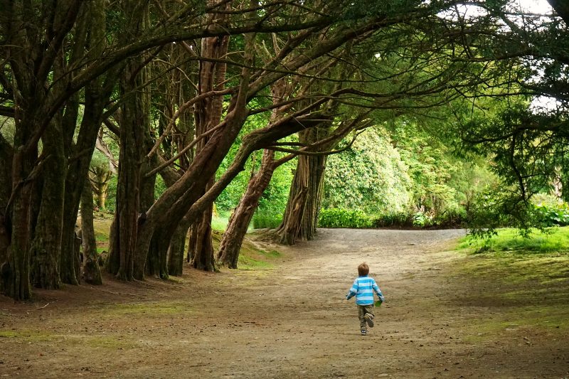 yew-trees-child-running-monks-walk