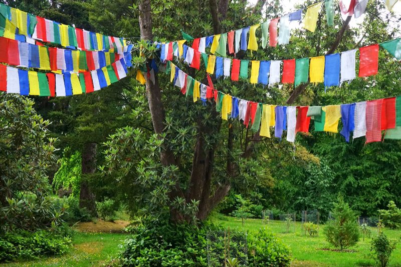 tibetan-prayer-flags-multicoloured-tree
