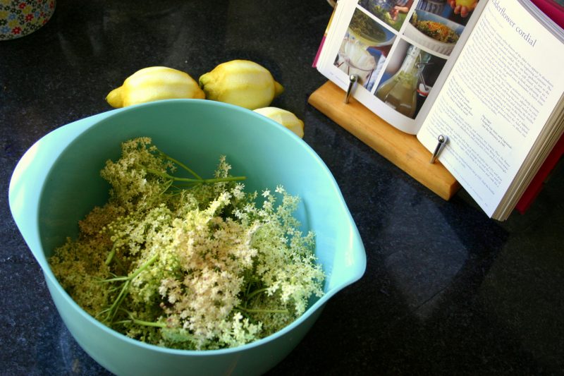 elderflower-cordial-cookbook-preserves-lemons