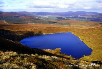 heart-shaped-lough-ouler-wicklow-mountains-ireland