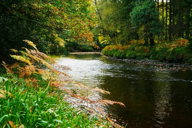 avonmore-river-wicklow-ireland-autumn-colours