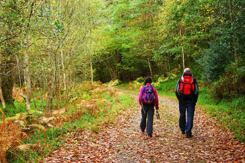father-daughter-walk-avonmore-way-clara-vale-nature-reserve-wicklow-ireland