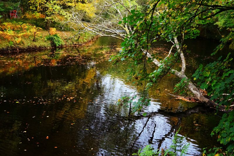 avonmore-river-reflection-autumn-colours-wicklow-ireland