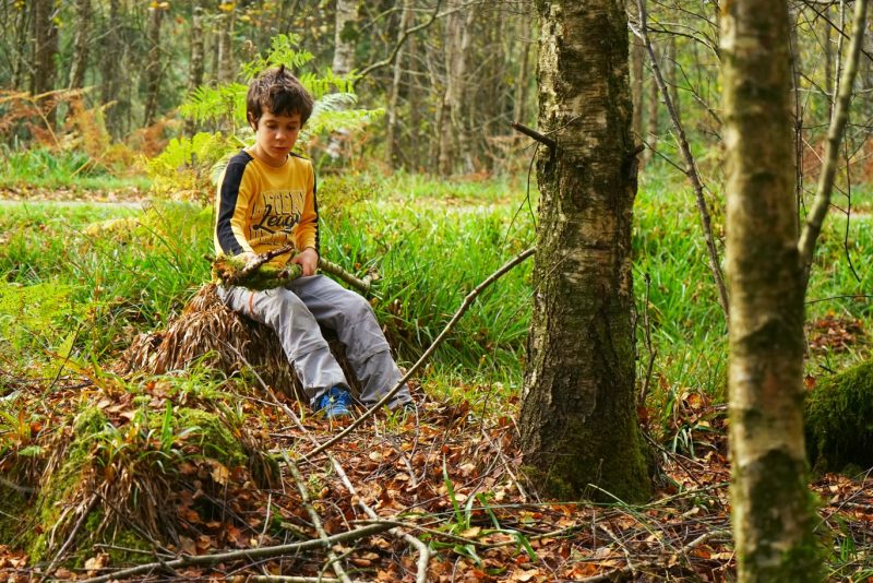 boy-peeling-large-stick-birch tree