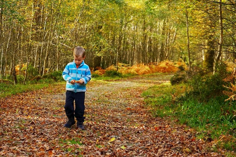 boy-walks-forest-trail-autumn-leaves-clara-vale-wicklow-ireland