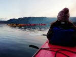 atlantic-sea-kayaking-lough-hyne-west-cork-ireland