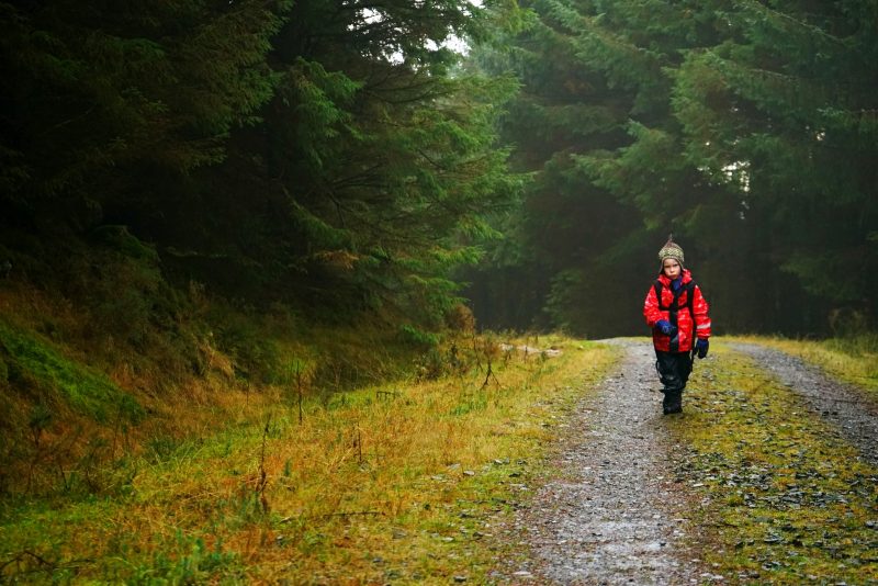 elf-like-boy-walks-wicklow-way-ireland-mist-forest