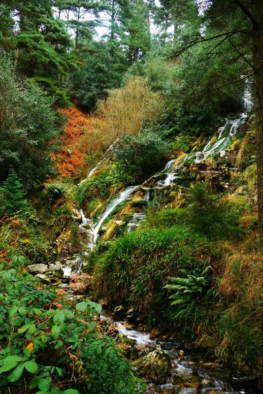 ballinafunshoge-waterfall-glenmalure-wicklow-ireland-winter