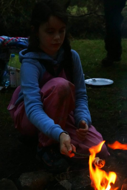marshmallow-toasting-campfire-dark